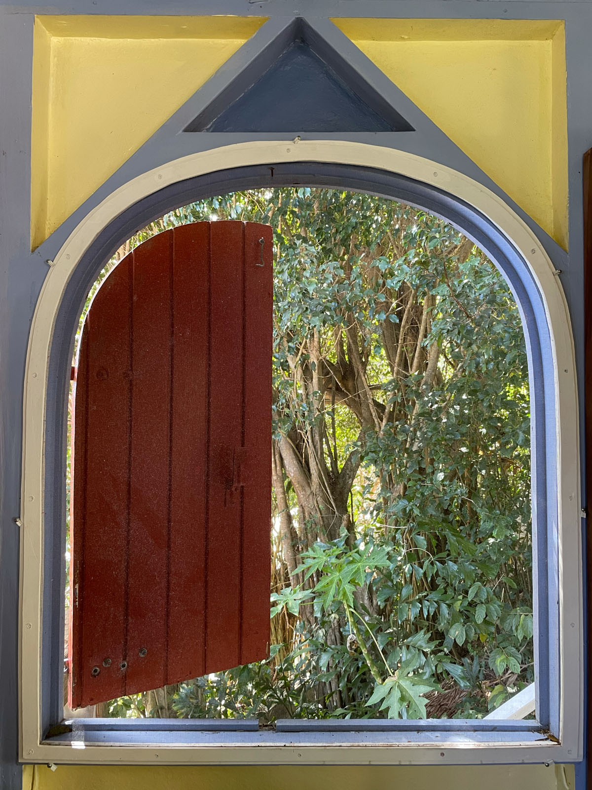 Photograph from St. Thomas, inspiration for a monotype print from the collection, Split Complementary, by Laurie Smithwick