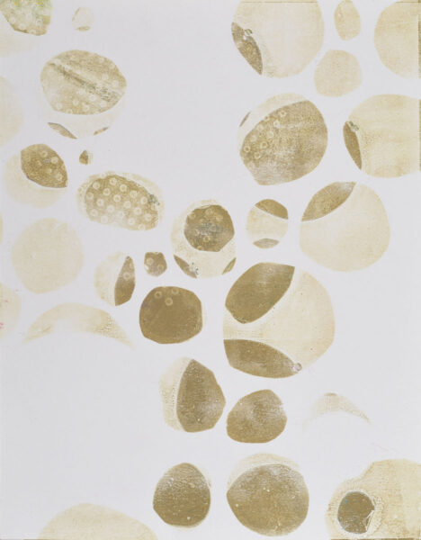 14"x11" Monotype on Bristol, from the Split Complementary series by Laurie Smithwick